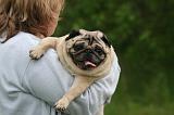 ADULTE ET CHIEN 529